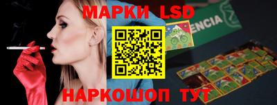 гидропоника Будённовск